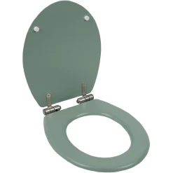 Abattant WC bois vert avec frein de chute déclipsable réglable^Gifi Best
