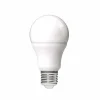 Ampoule à LED A60 Homday blanc chaud^Gifi Hot