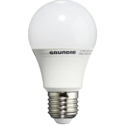 Ampoule A60 en verre blanc 1055 lm x2^Gifi Outlet