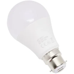 Ampoule LED A60 B22 x2^Gifi