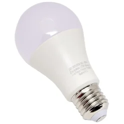 Ampoule LED A60 E27 x2^Gifi Outlet