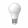 Ampoule standard à LED A60 Homday blanc chaud^Gifi Best