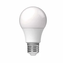 Ampoule standard à LED A60 Homday blanc chaud^Gifi Best