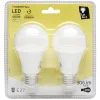 AMPOULE X2 LED SPHERIQUE^Gifi