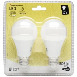 AMPOULE X2 LED SPHERIQUE^Gifi