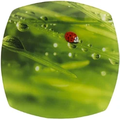 Gifi Vaisselle Et Accessoires De Table^Assiette plate carrée verte design coccinelle