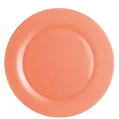 Gifi Vaisselle Et Accessoires De Table^Assiette plate corail
