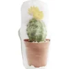 Bloque porte design cactus^Gifi