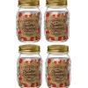 Gifi Conservation Alimentaire^Bocal à stériliser 500 ml x 4