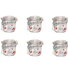 Gifi Conservation Alimentaire^Bocal de conserve fermeture à clapet 200 ml x 6