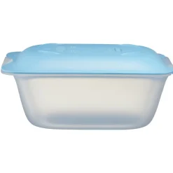 Gifi Conservation Alimentaire^Boîte à fromage en plastique 18x12xH7,8cm