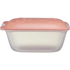 Gifi Conservation Alimentaire^Boîte à fromage en plastique 18x12xH7,8cm