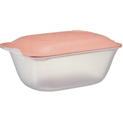 Gifi Conservation Alimentaire^Boîte à fromage en plastique 18x12xH7,8cm