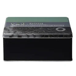 Gifi Conservation Alimentaire^Boîte à thé rectangulaire en métal décorée verte