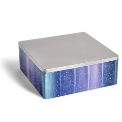 Gifi Conservation Alimentaire^Boîte alimentaire carré en fer décor bleu et argenté 26x26xH10cm