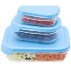 Gifi Conservation Alimentaire^Boîte alimentaire couvercle bleu