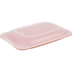 Gifi Conservation Alimentaire^Boîte de conservation mini L18xl12xH3cm