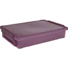 Best Boîte de rangement avec fermeture à clip violet 4 L Rangement