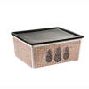 Boîte de rangement motif ananas 18 L Rangement