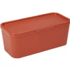 Boîte de rangement plastique rouge Rangement