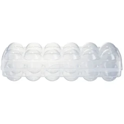 Gifi Conservation Alimentaire^Boîte pour 12 oeufs plastique transparent