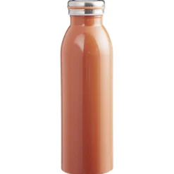 Gifi Conservation Alimentaire^Bouteille isotherme inox uni 500 ml