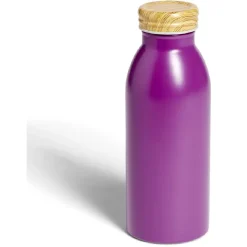 Gifi Conservation Alimentaire^Bouteille isotherme 400ml inox et bois - 4 coloris