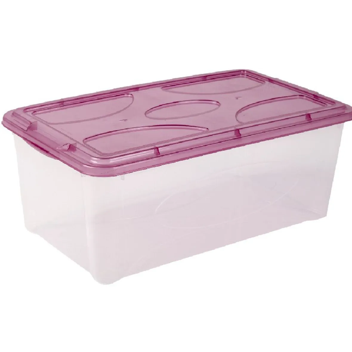 Best Box de rangement 10 L transparent et violet Rangement