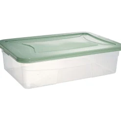 Box dessous de lit transparent et vert 30L Rangement