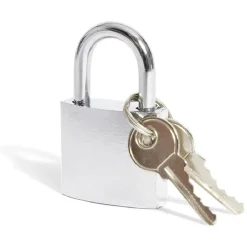 Cadenas en acier gris chromé de 32 mm - 2 clés^Gifi New