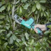 Coupe branche Profilex sans fil à batterie^Gifi Clearance