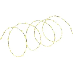 Fil lumineux 66 LED blanc chaud 1m^Gifi Best