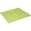 Fond de douche vert anis^Gifi