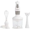 Gifi Petit Électroménager^Mixeur 3 en 1 Homday