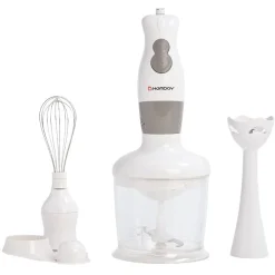 Gifi Petit Électroménager^Mixeur 3 en 1 Homday