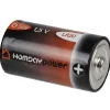 Pile Alcaline Homday Power LR20 x2^Gifi Outlet