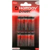 Pile Alcaline Homday Power LR03 type AAA x10^Gifi Best
