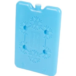 Gifi Conservation Alimentaire^Sac fraîcheur lunch box avec bloc de glace