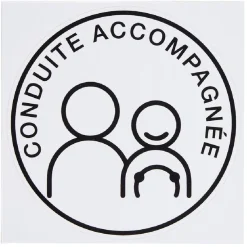 Sticker voiture jeune conducteur^Gifi
